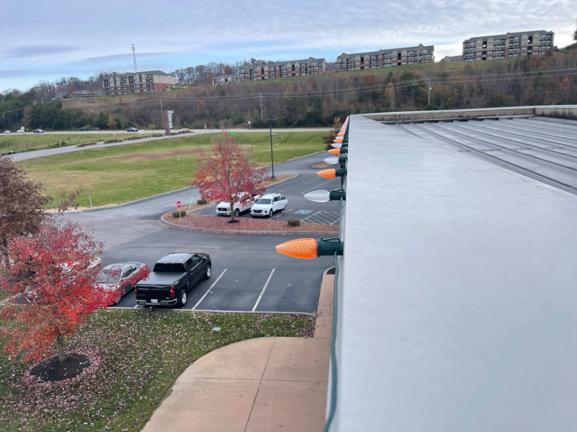 Commercial Christmas Lights - Volunteer Pharmacy