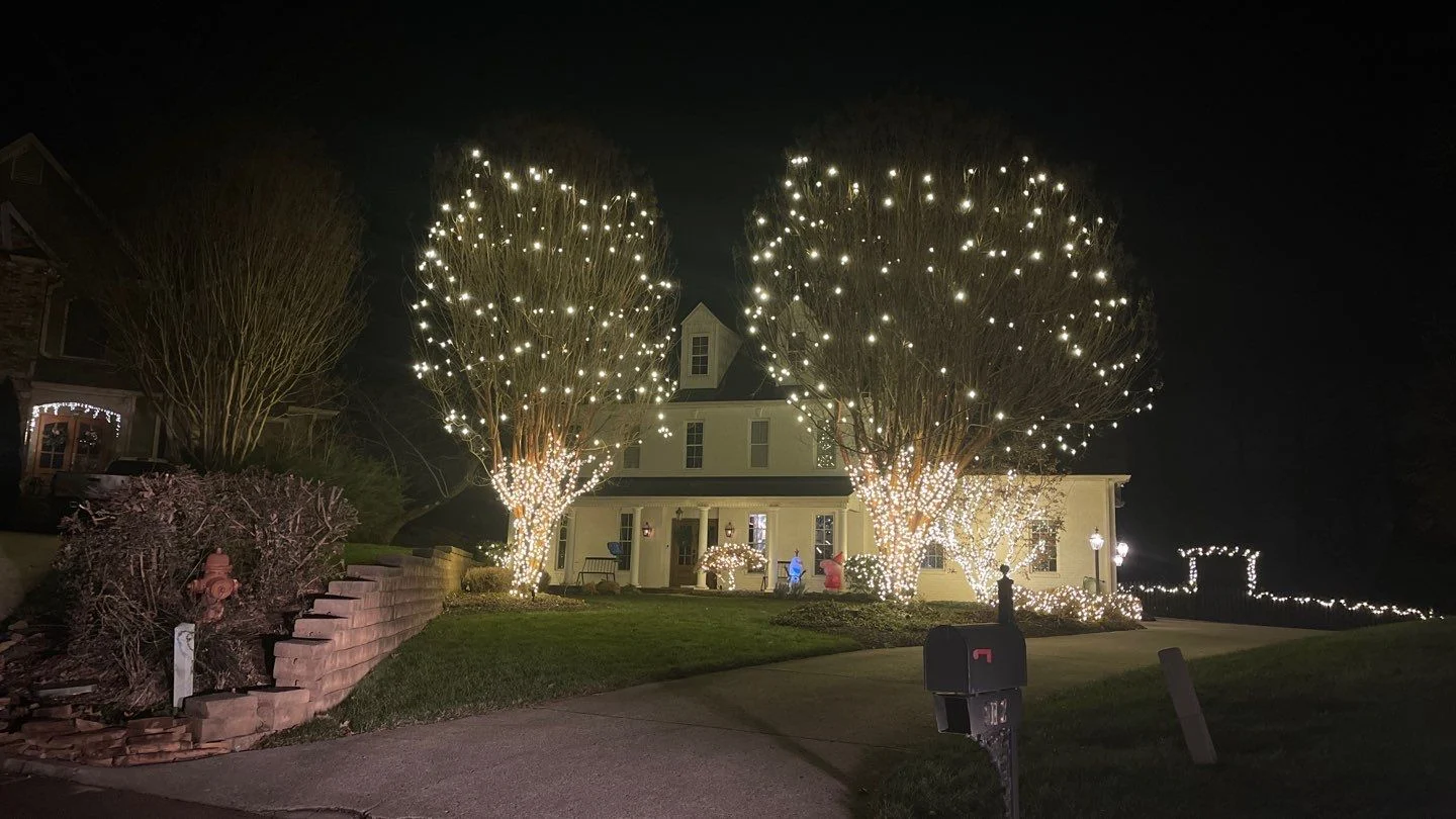 Knoxville, TN Christmas light installation trees 1 (2)