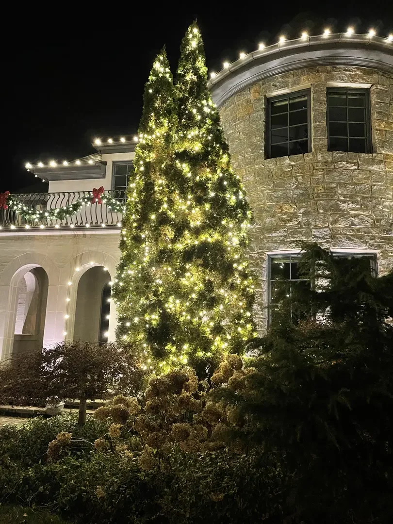 Christmas Lights Gallery