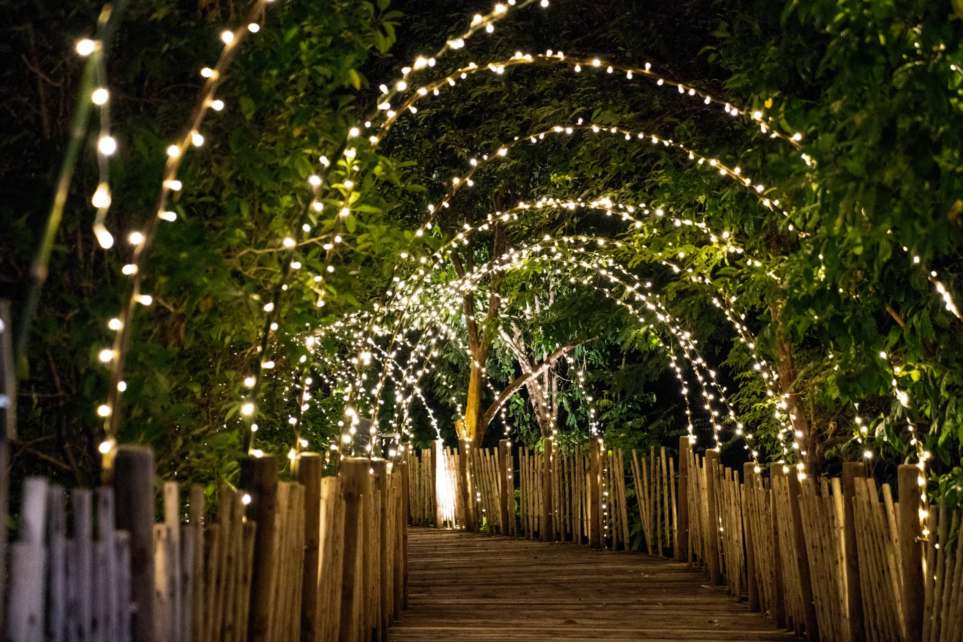Wedding Lighting in Knoxville