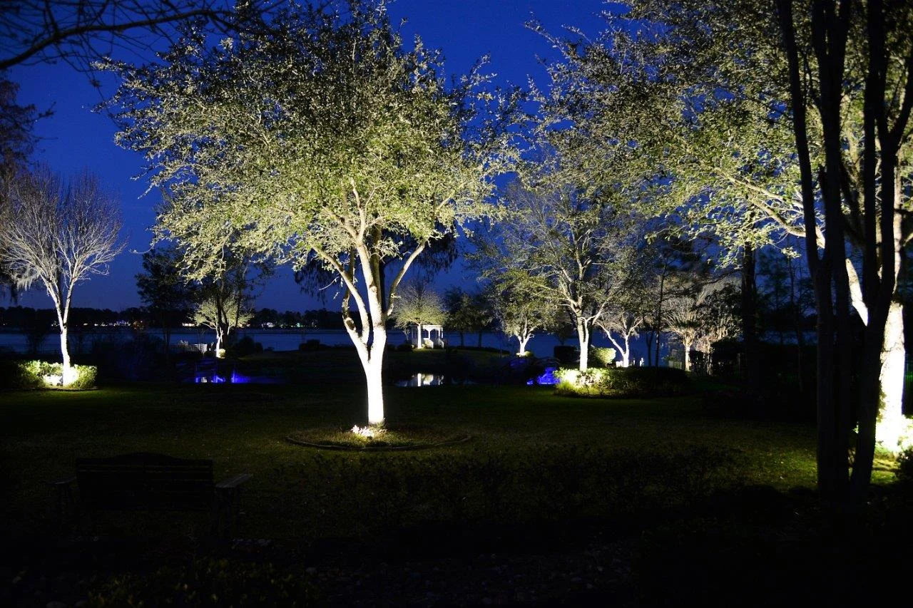 Professional Yard Lighting in Knoxville