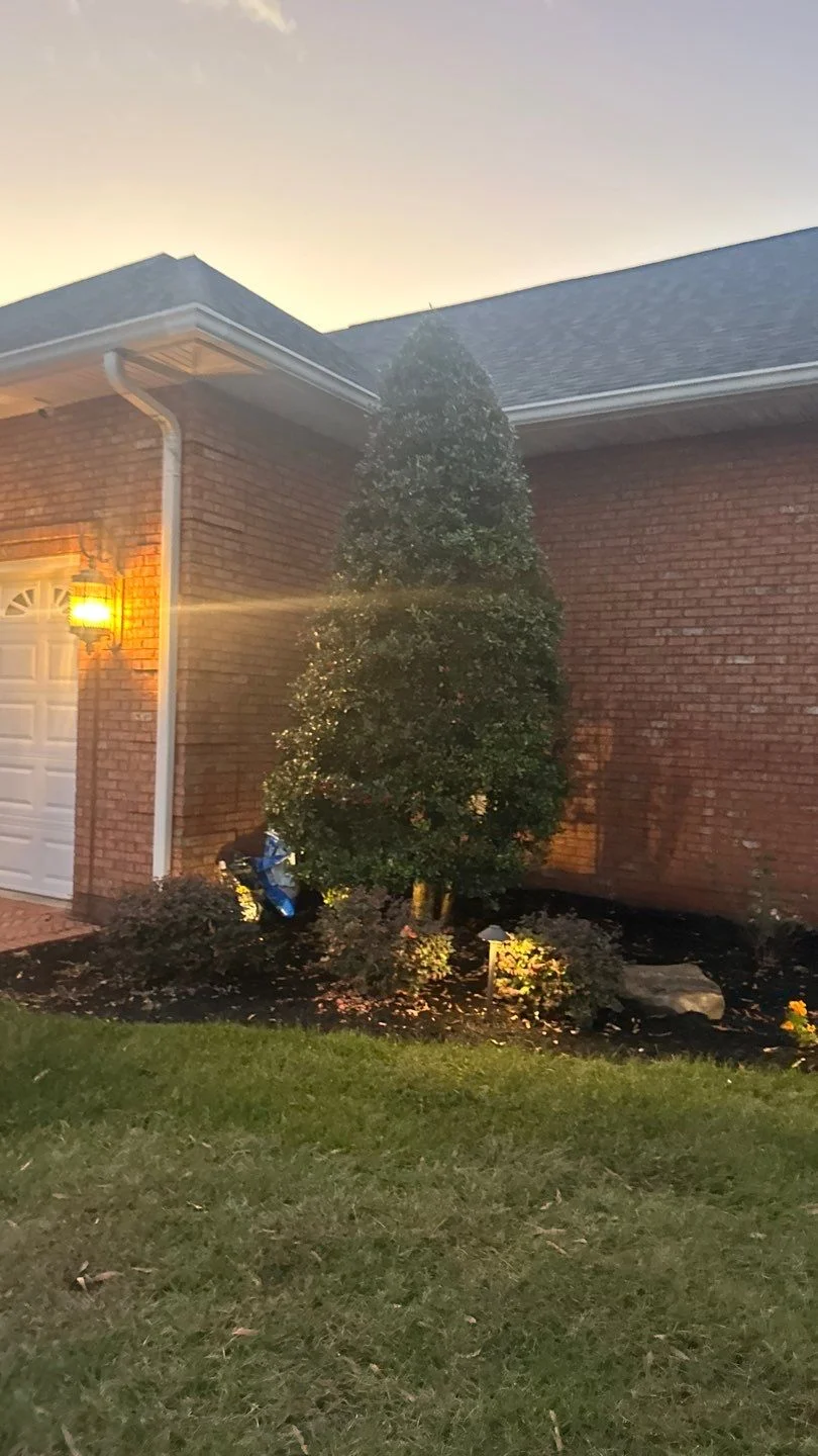 Switch Lights Christmas Lights Sevierville TN