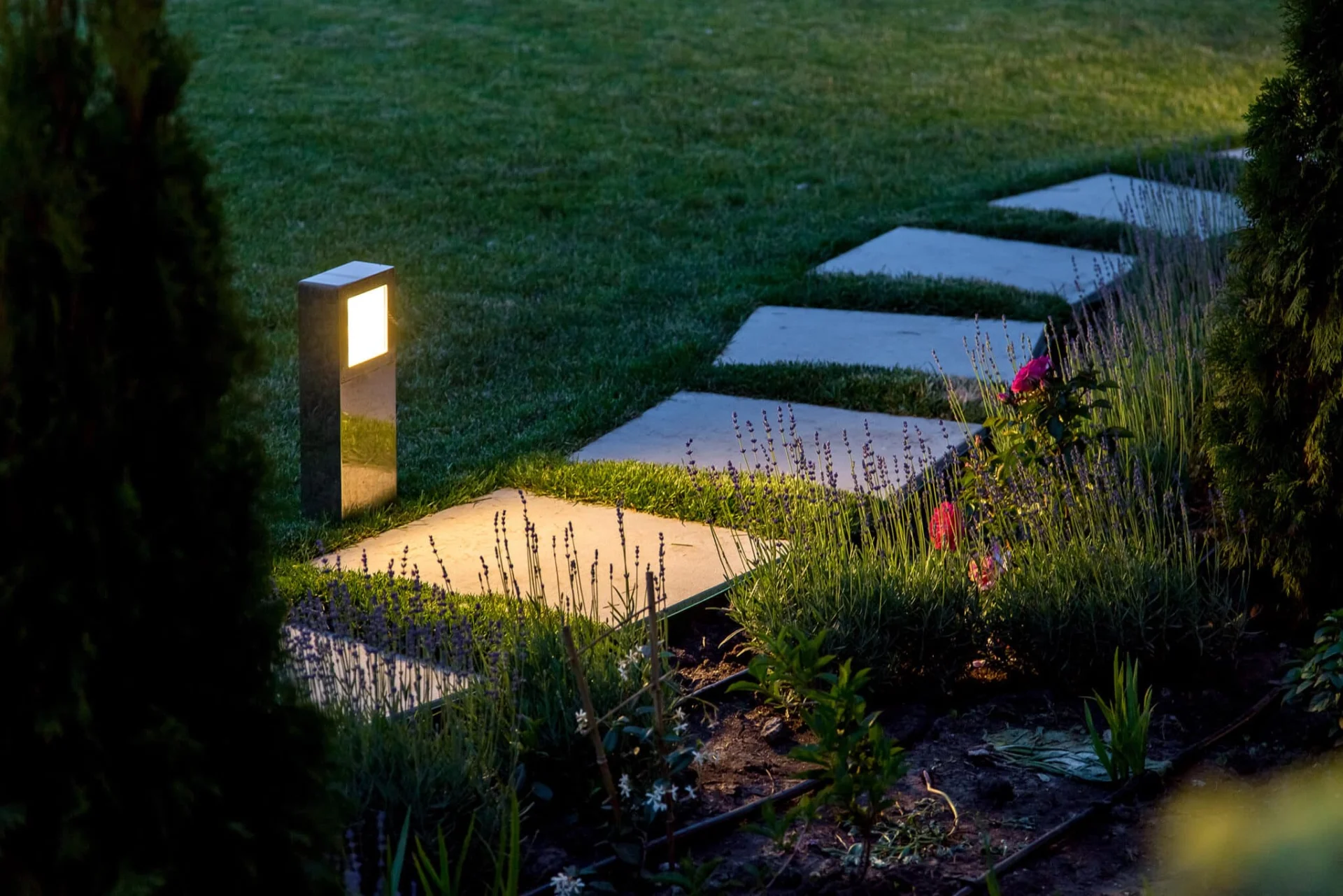 Swicth Lighting Knoxville