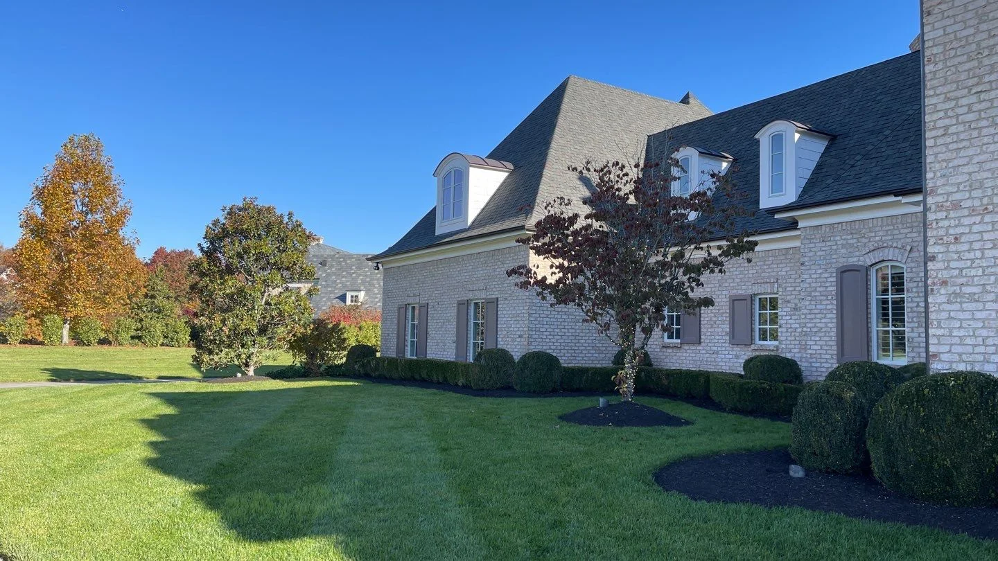 Christmas light install on trees in knoxville