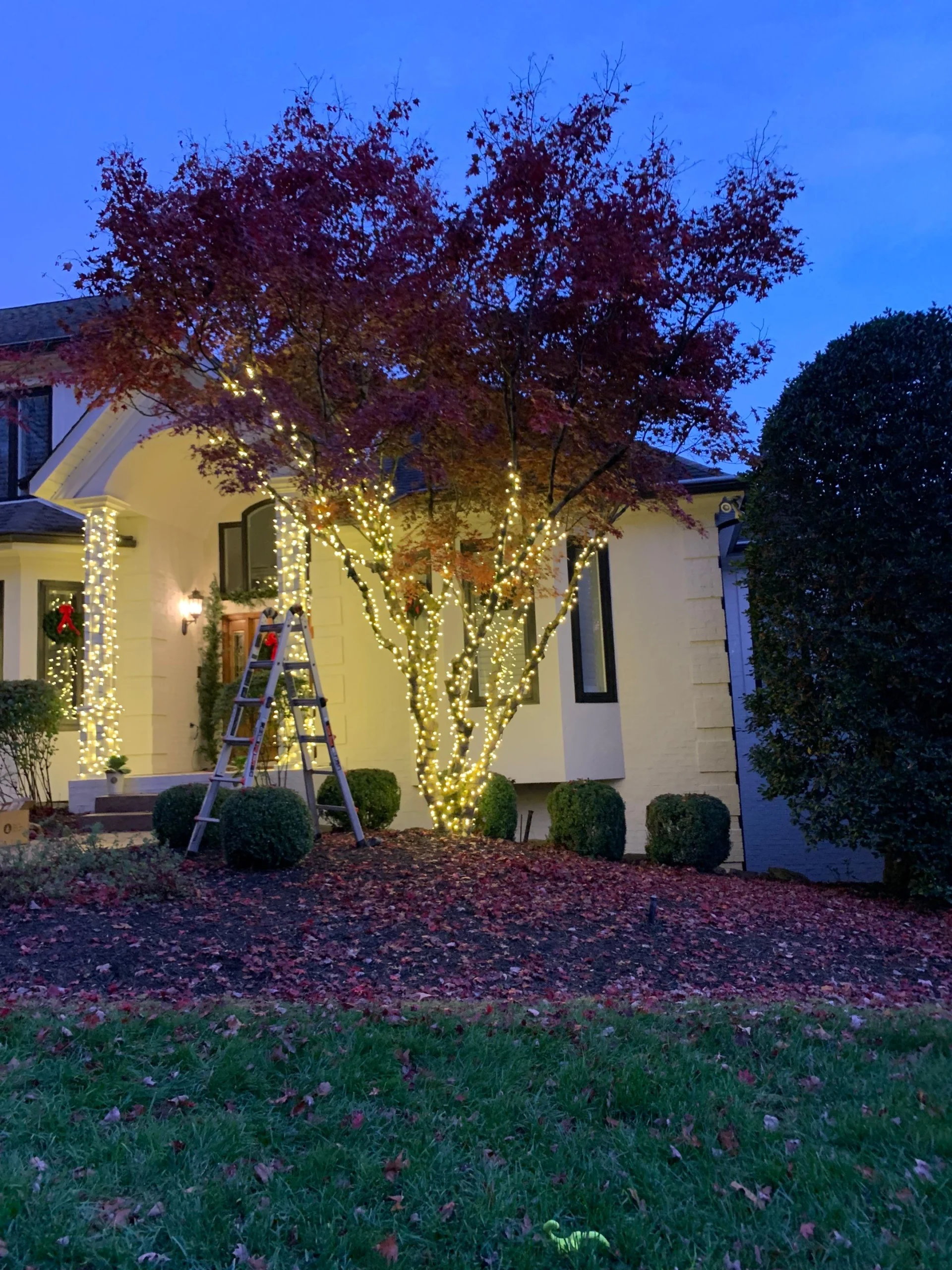 Holiday Lights Install in Knoxville, TN