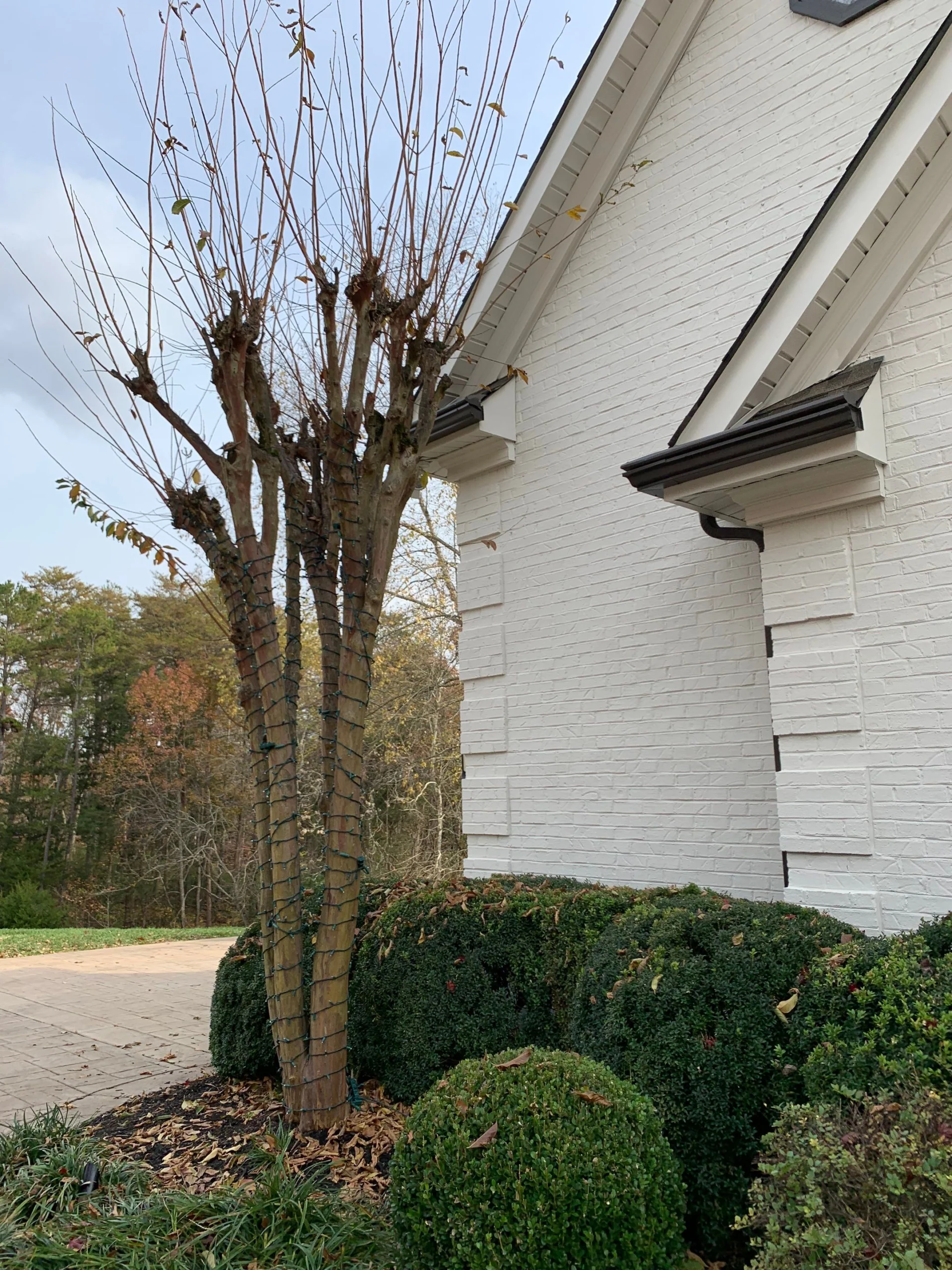 Holiday Lights Install in Knoxville, TN