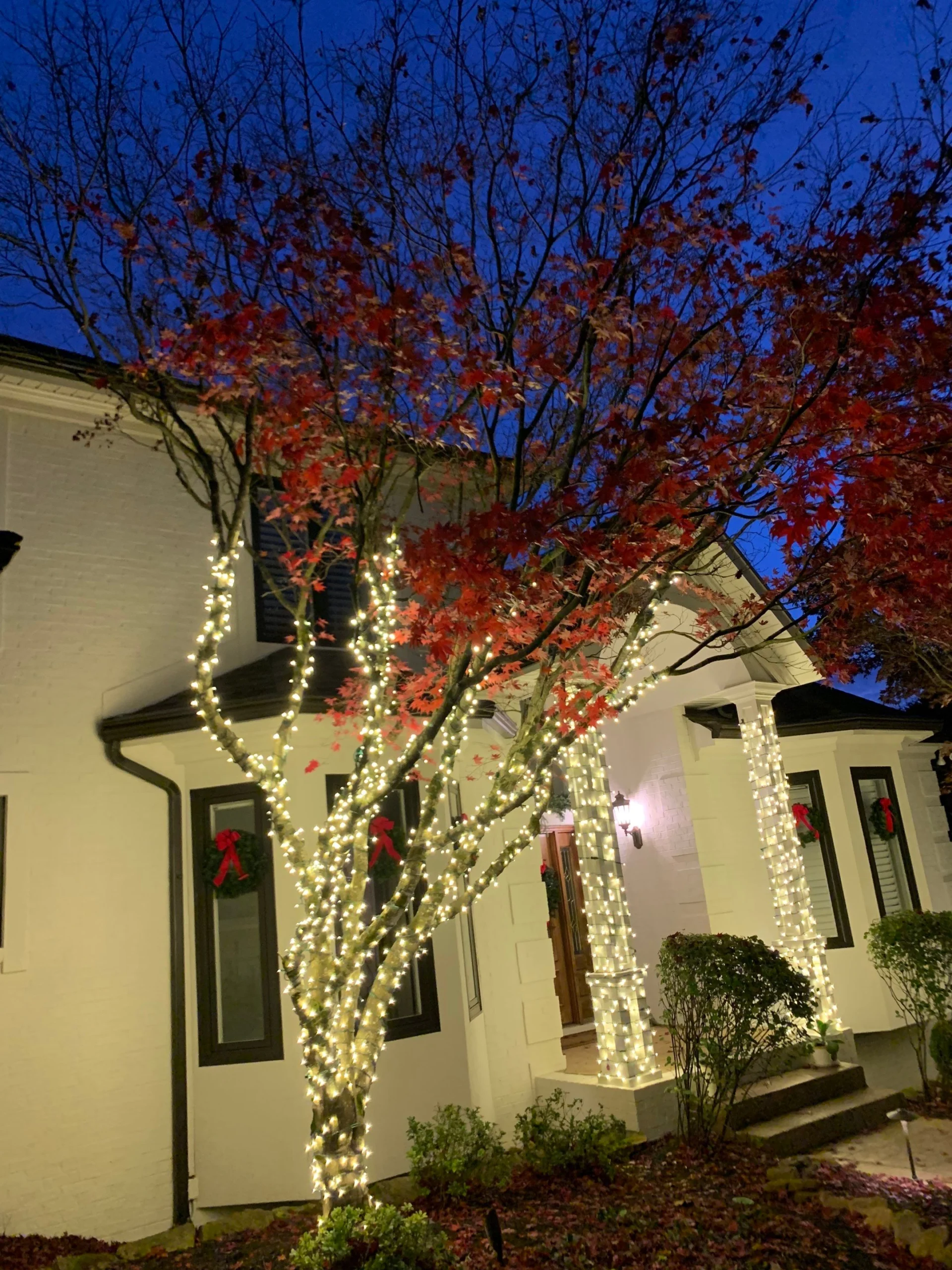 Recent Projects Holiday Lights Install in Knoxville, TN