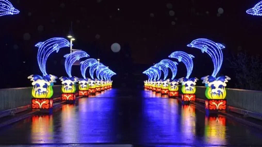 Knoxville Zoo Lights